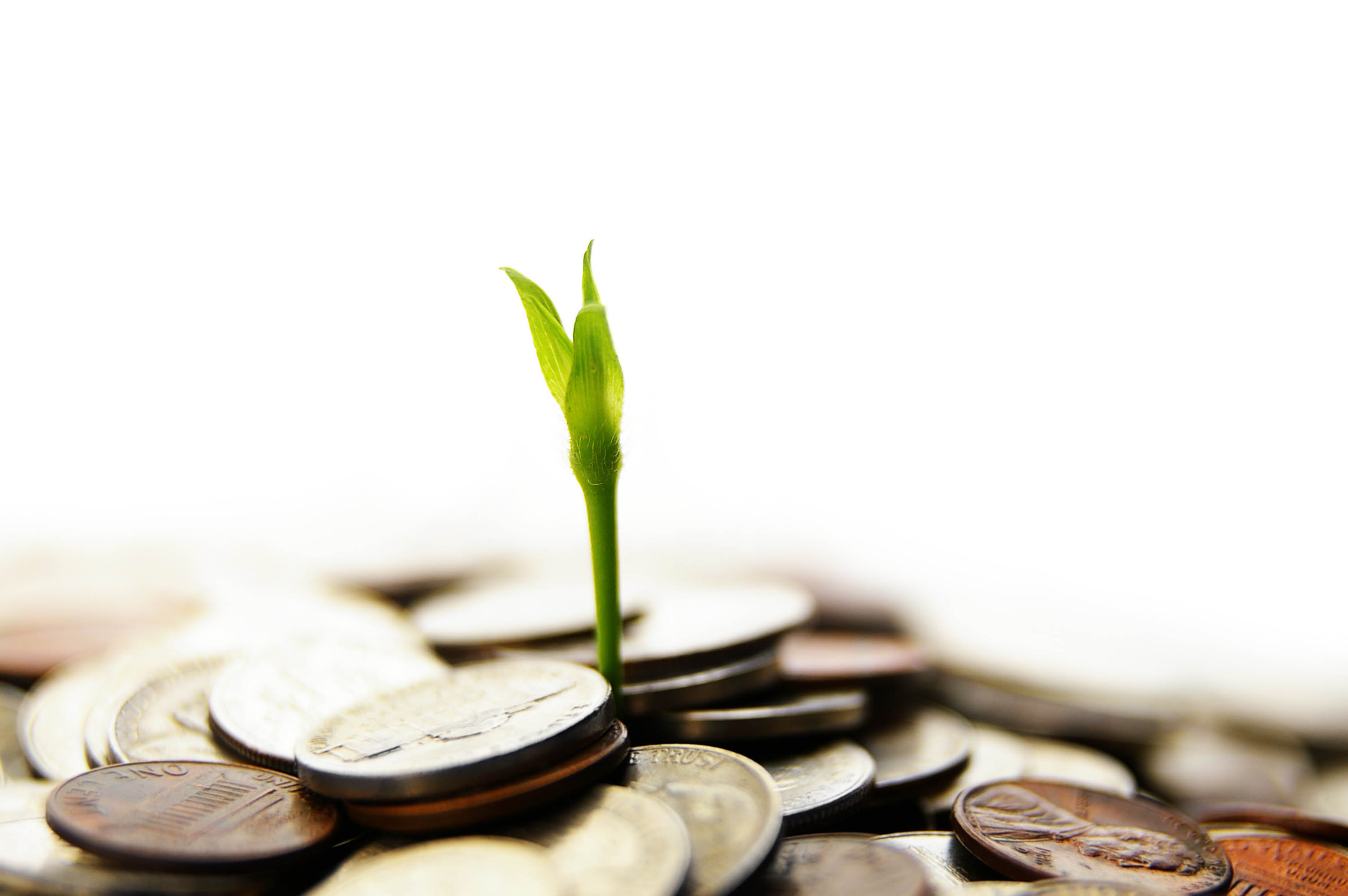 From the Trenches: How to Grow Your Freelance Business