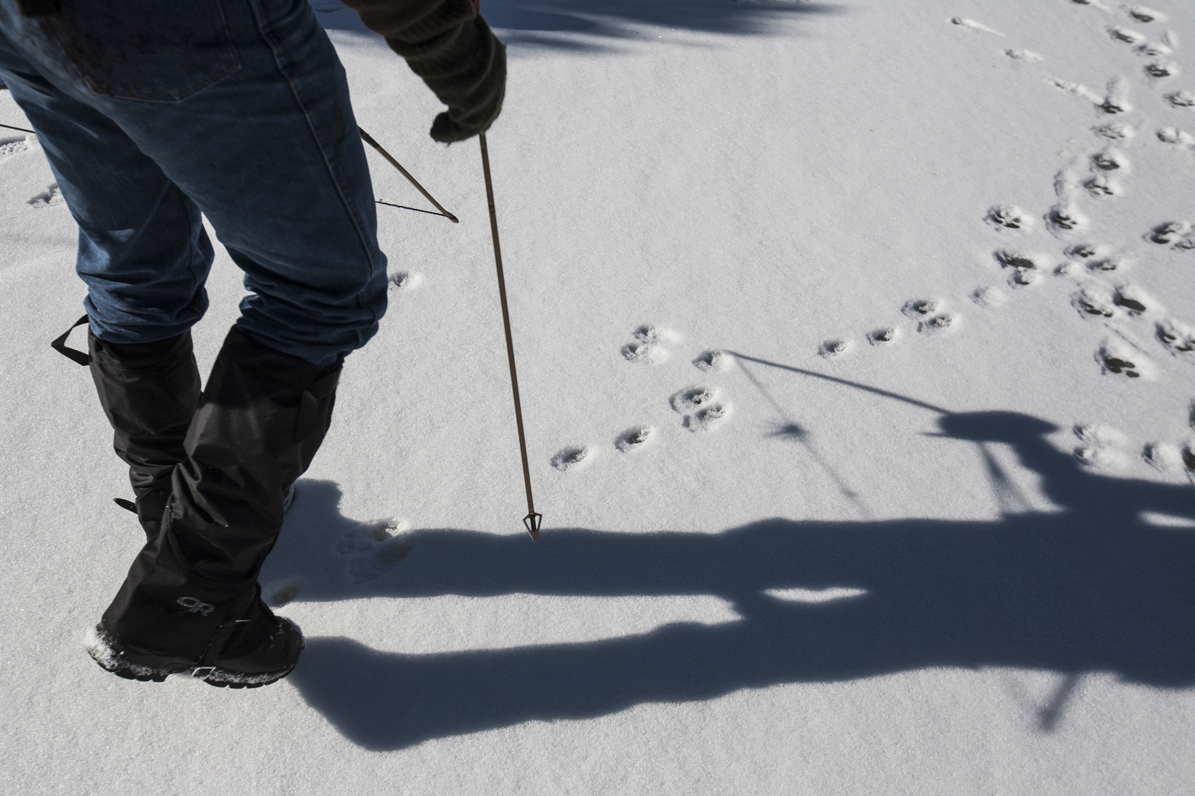7 Steps That Will Help You Track Down Missing Freelance Payments