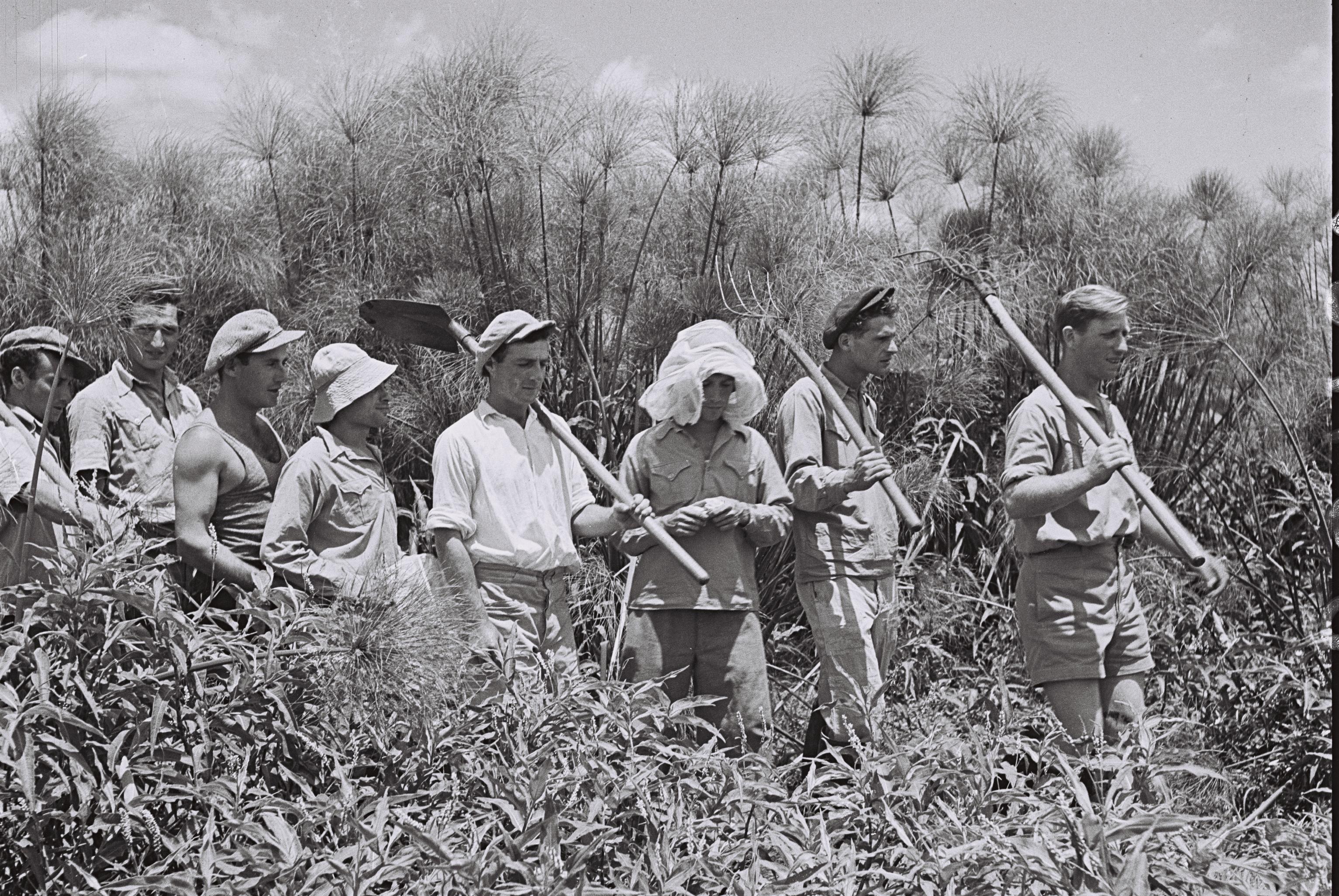 A Writing Kibbutz? Deca Builds a Journalism Co-op