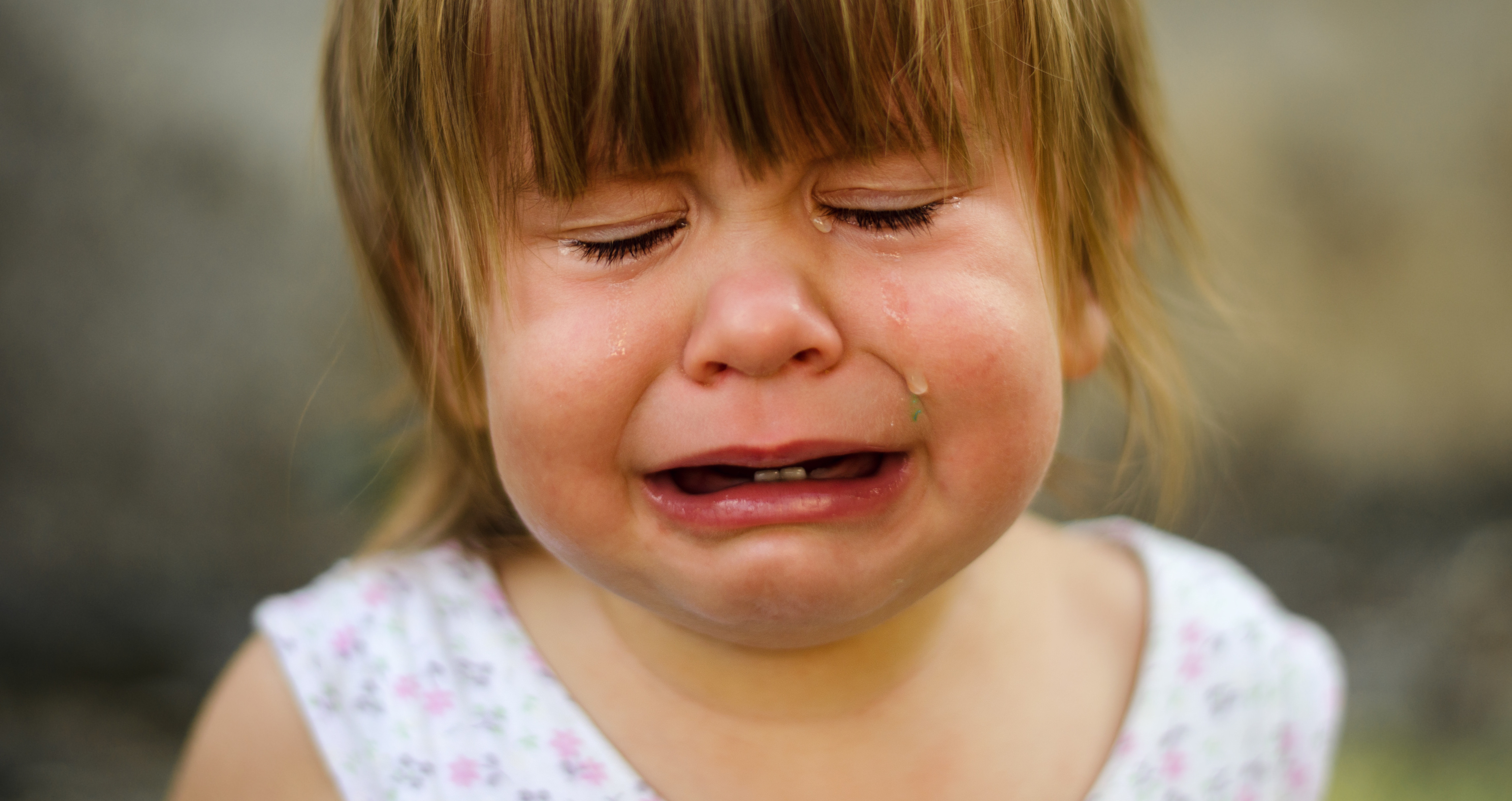 You Can Now Relive Your Saddest Tweets