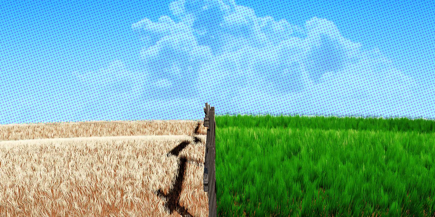 Ask a Freelancer: Is the Grass Always Greener on the Other Side of the Church and State Wall?